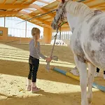 Holiday home Hof Koehne - Hexenhaus Schmallenberg