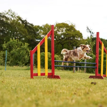 Hof Koehne - Hexenhaus *