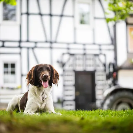 Hof Koehne - Hexenhaus Schmallenberg
