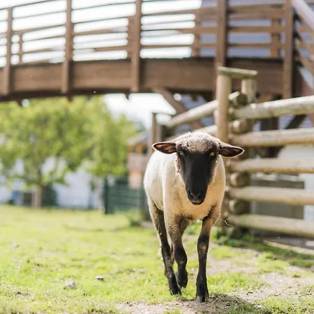 Hof Koehne - Hexenhaus Vakantiehuis *