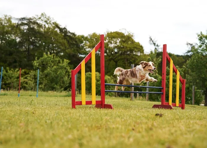 Hof Koehne - Hexenhaus *