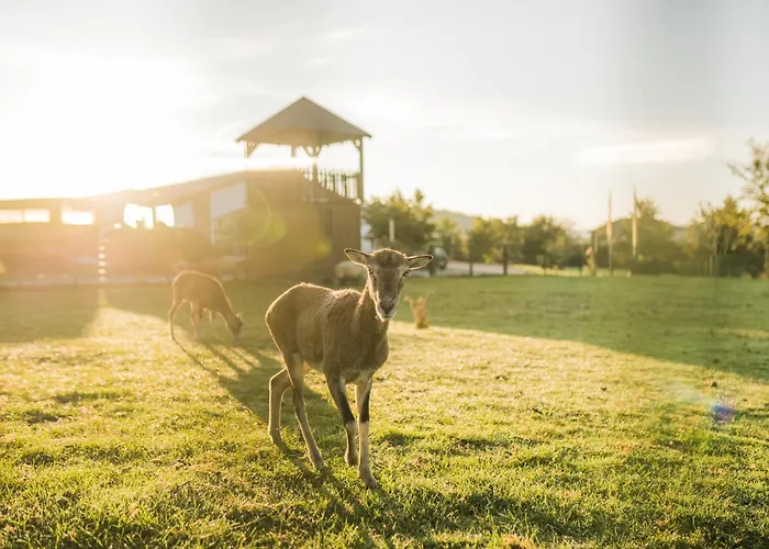 Hof Koehne - Hexenhaus Semesterbostad Schmallenberg