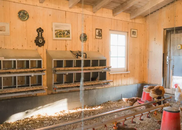 Semesterbostad Hof Koehne - Hexenhaus *