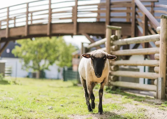 Hof Koehne - Hexenhaus Semesterbostad *