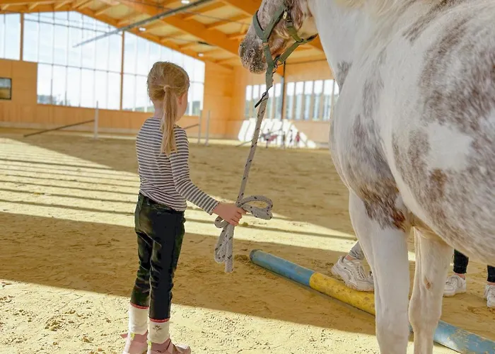 Semesterbostad Hof Koehne - Hexenhaus Schmallenberg